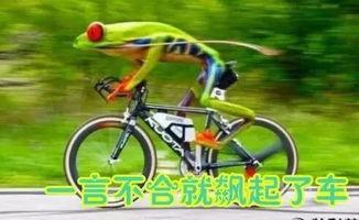 娱乐吃瓜酱自行车,自行车界的潮流新宠  第1张